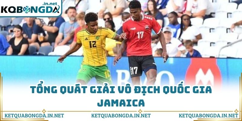 Tổng quát giải vô địch quốc gia Jamaica